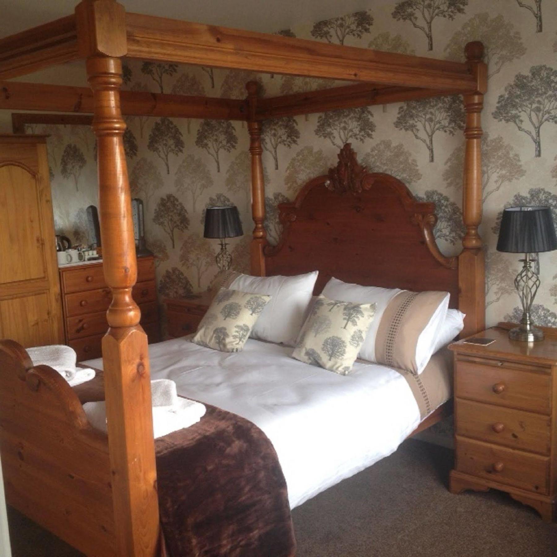 Pine Lodge Hotel New Quay Exterior foto