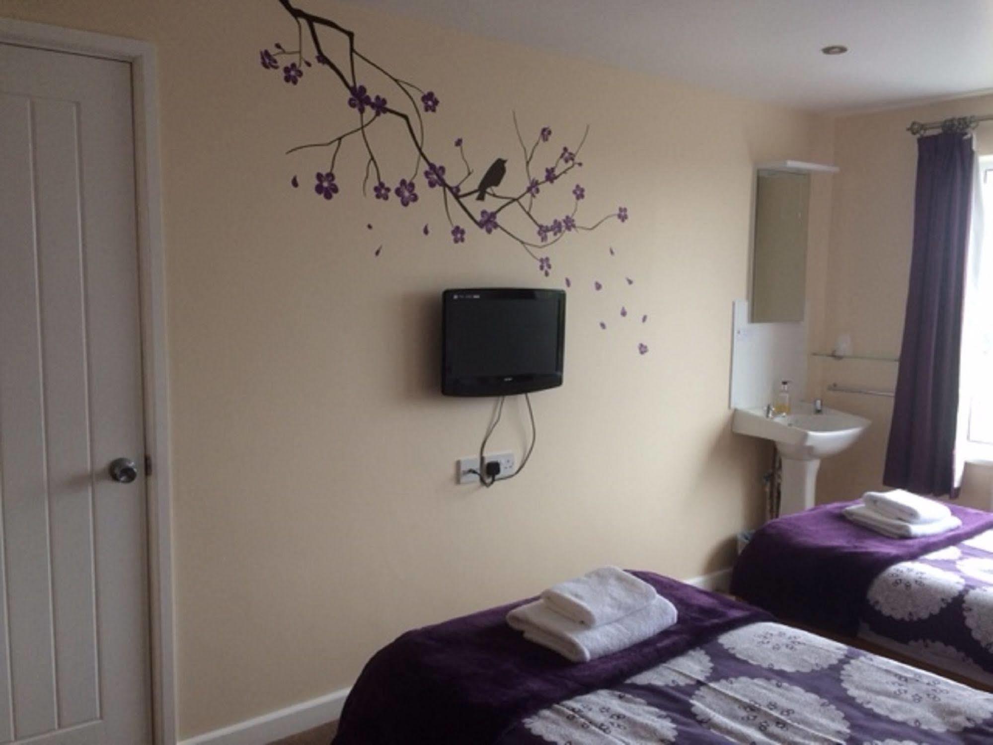 Pine Lodge Hotel New Quay Exterior foto
